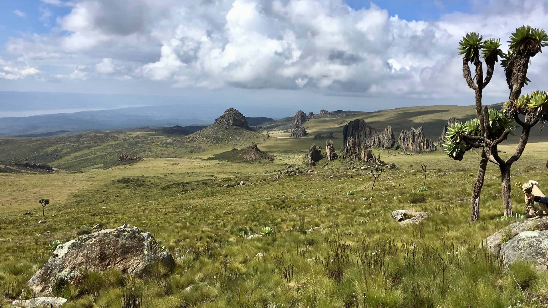 aberdare national park