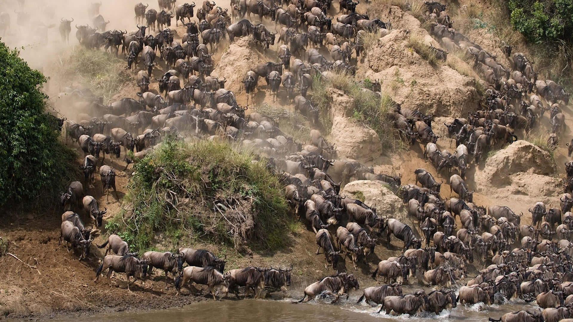 maasai mara game reserve