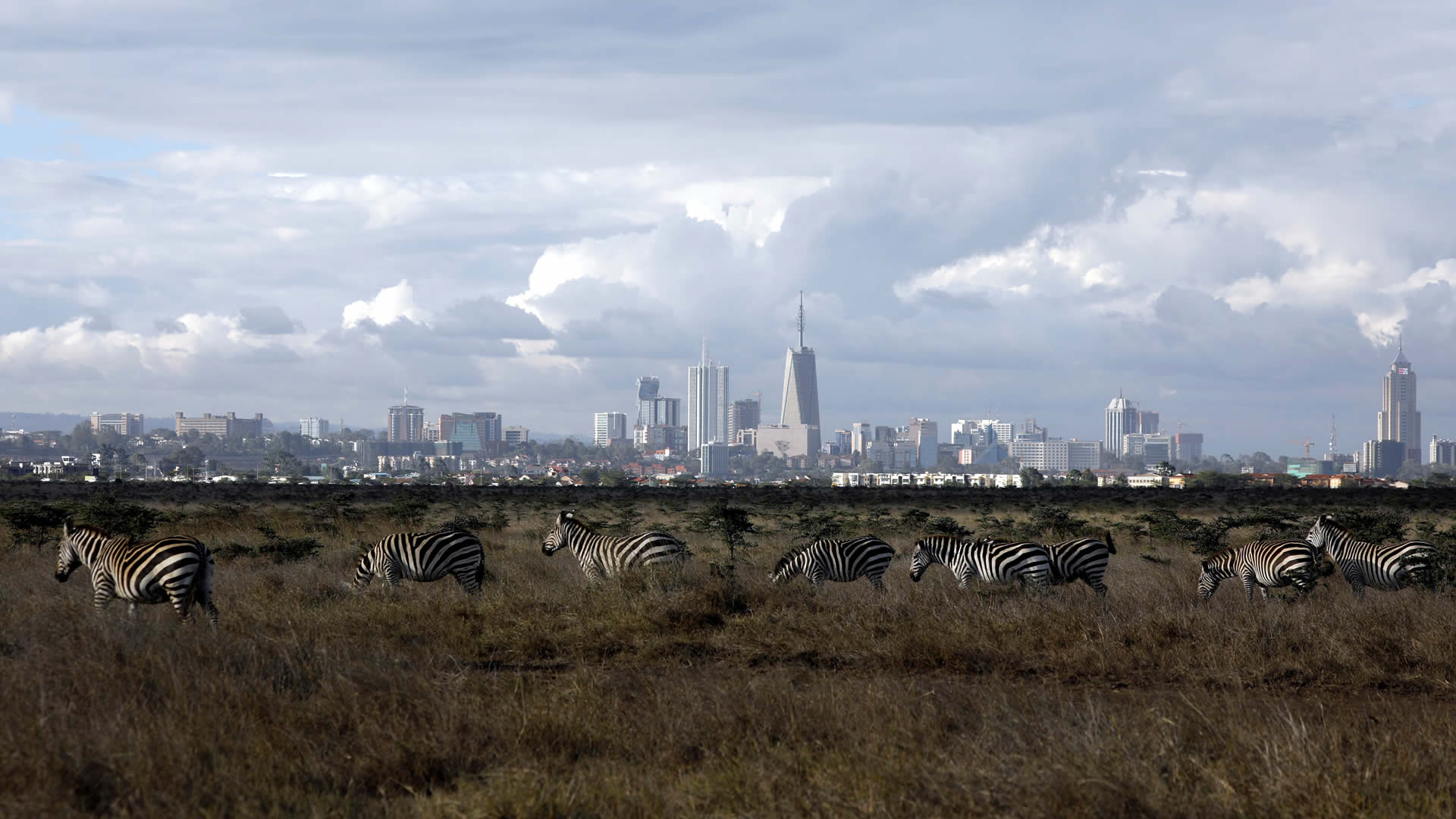 nairobi national park