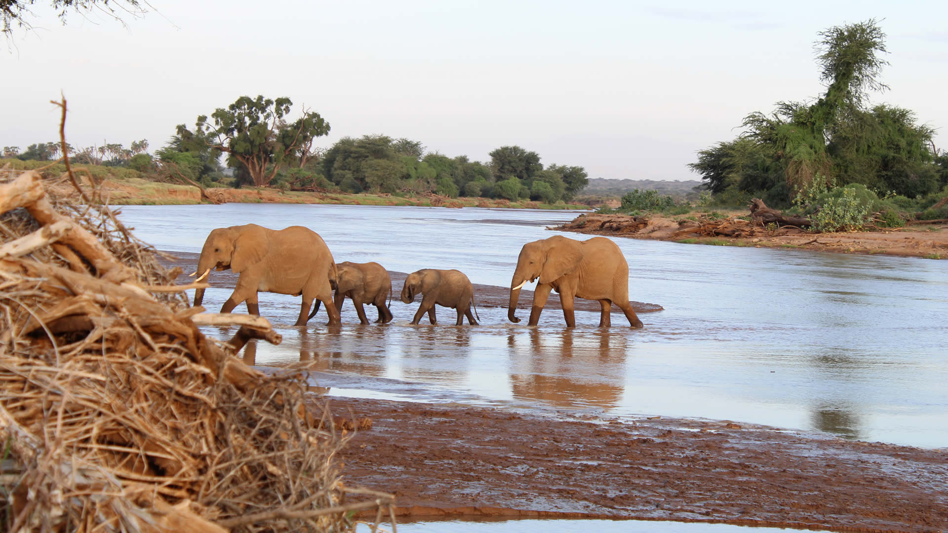 samburu national reserve