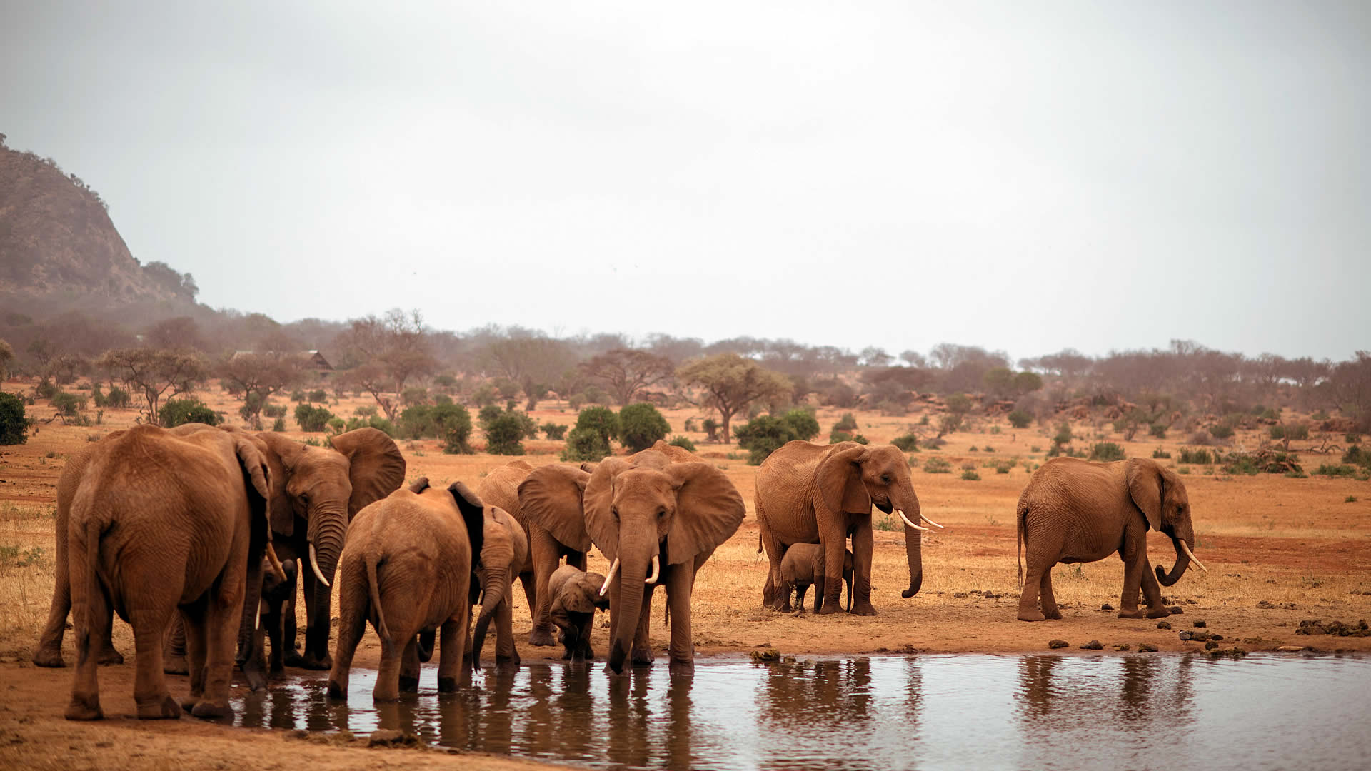 tsavo east national park