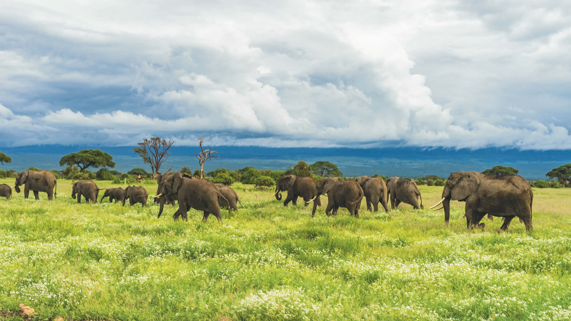 tsavo west national park