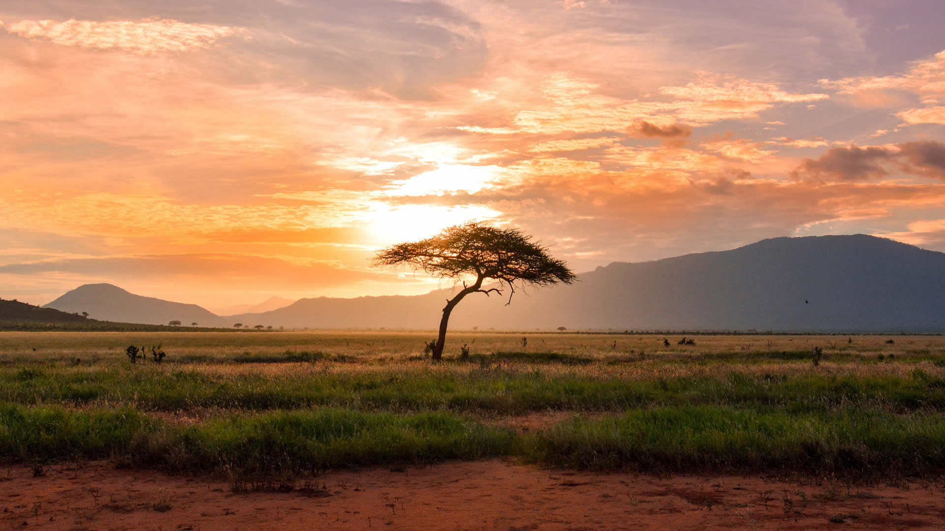 tsavo west national park