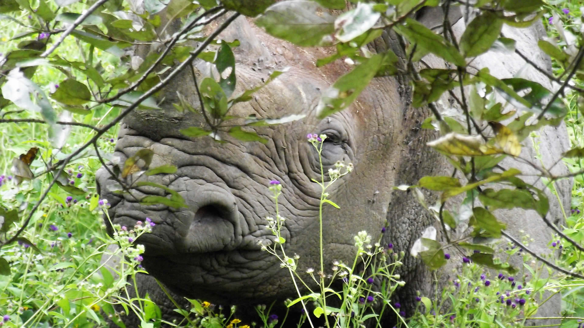 akagera national park