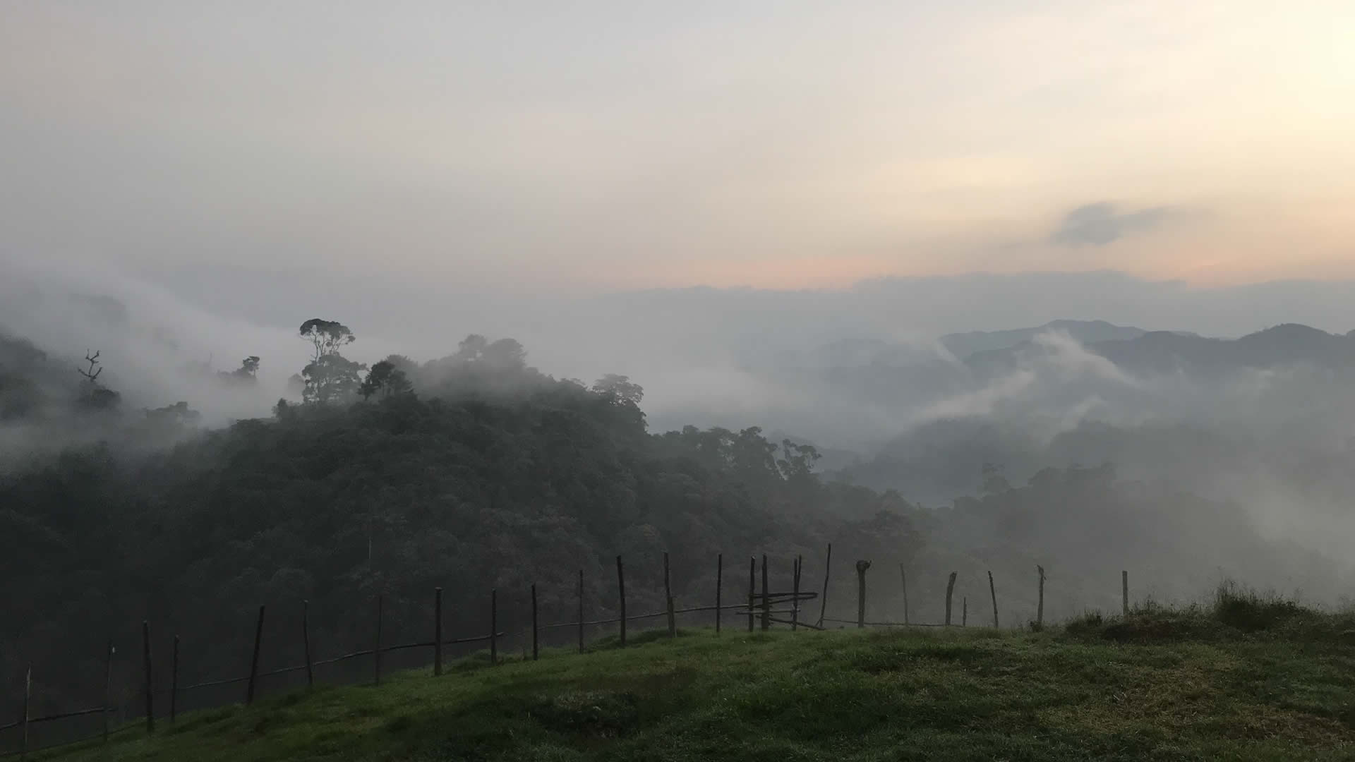 gishwati mukura national park