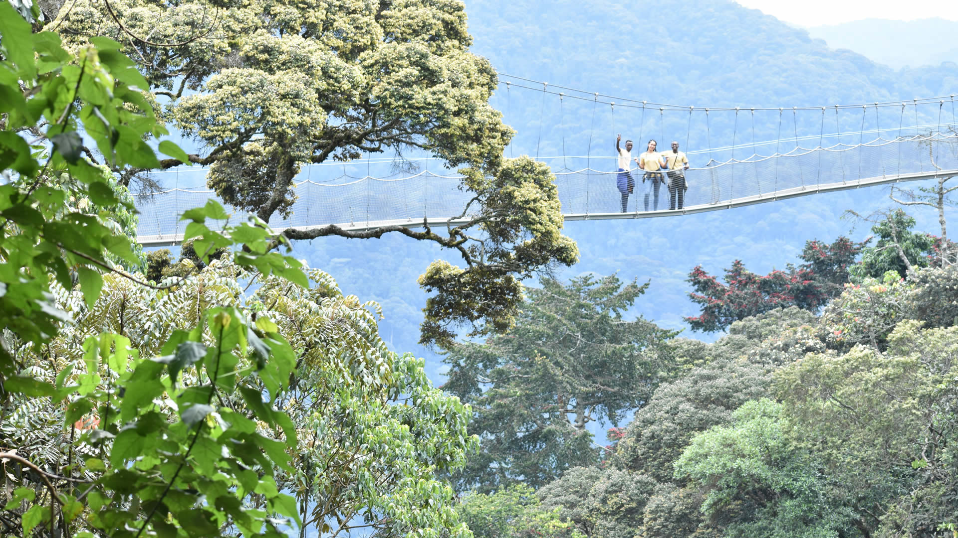 nyungwe forest national park