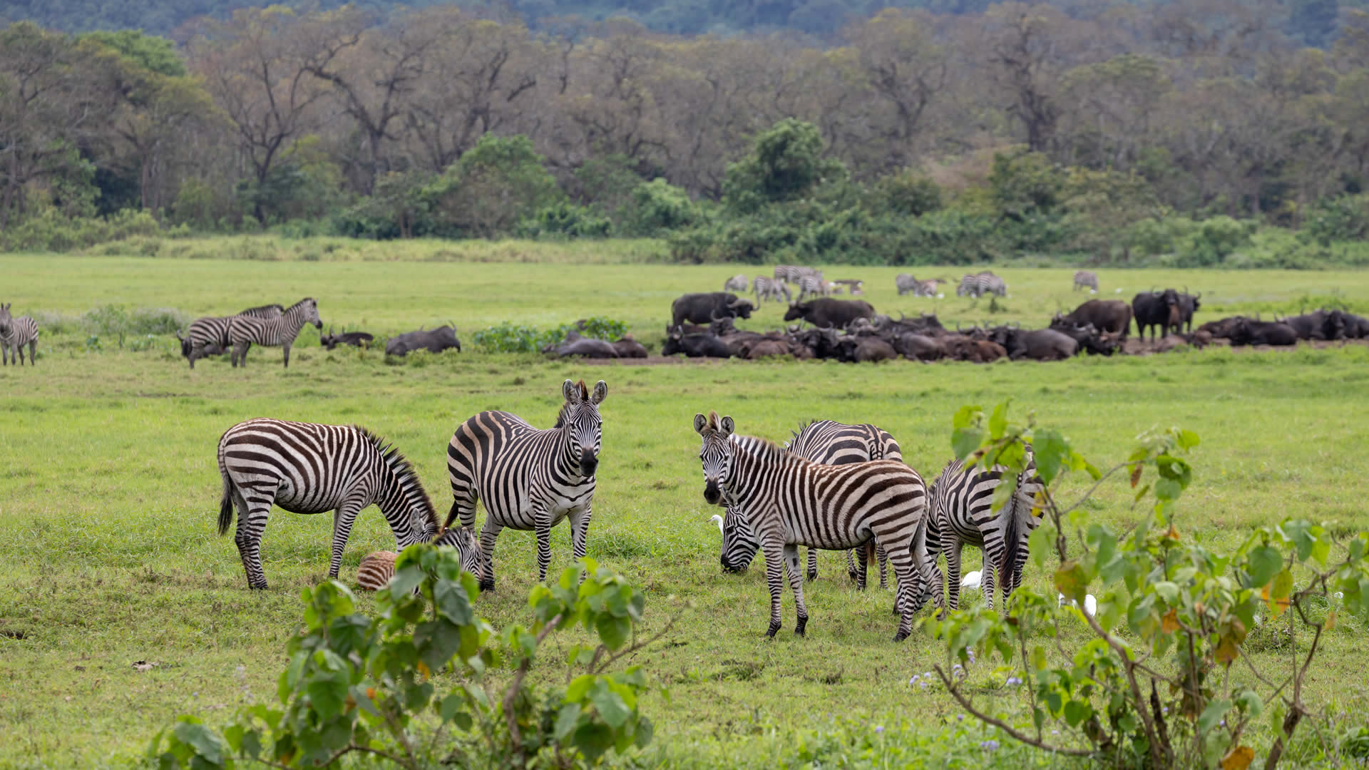 arusha national park