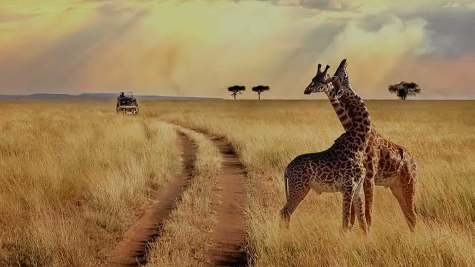 arusha national park