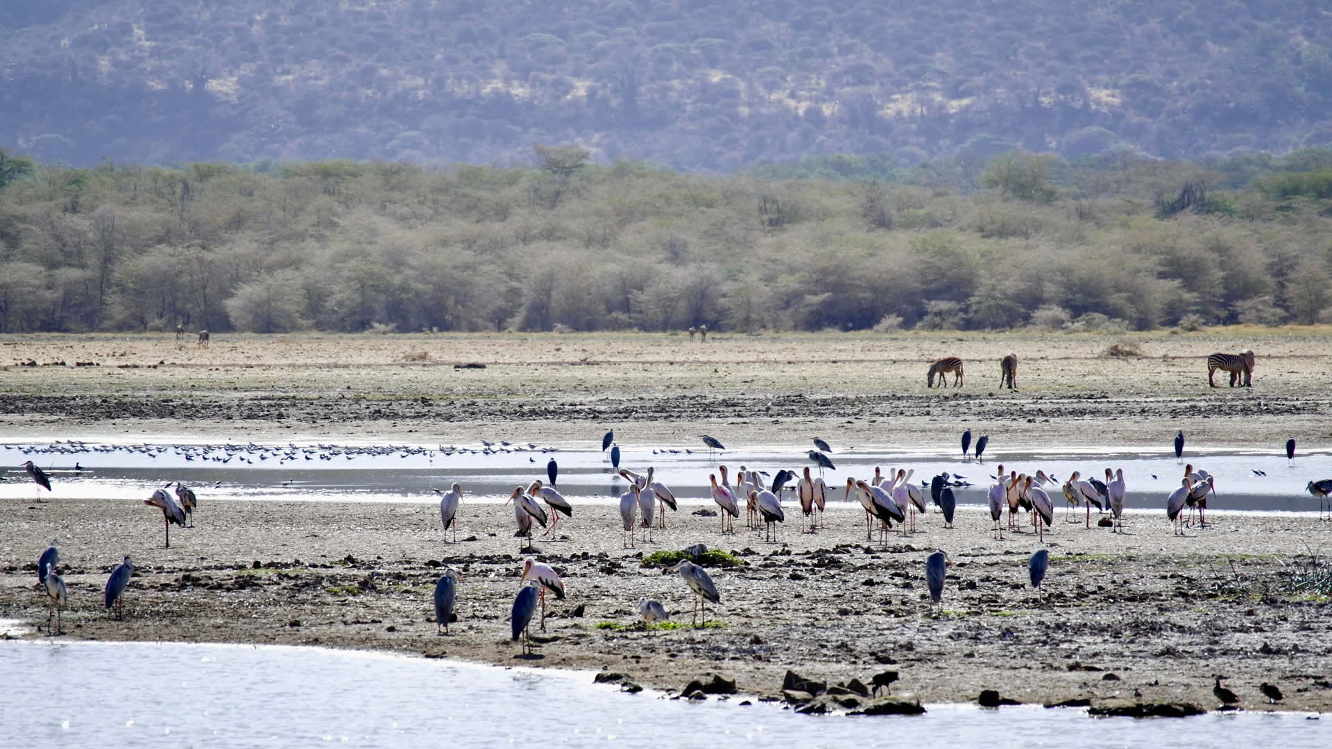 lake manyara national park