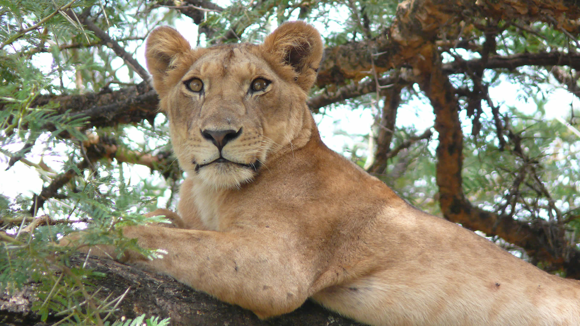 lake manyara national park