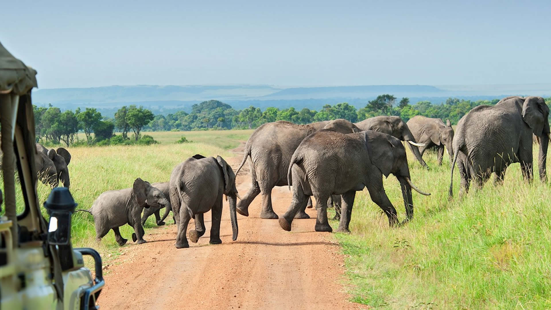 selous game reserve