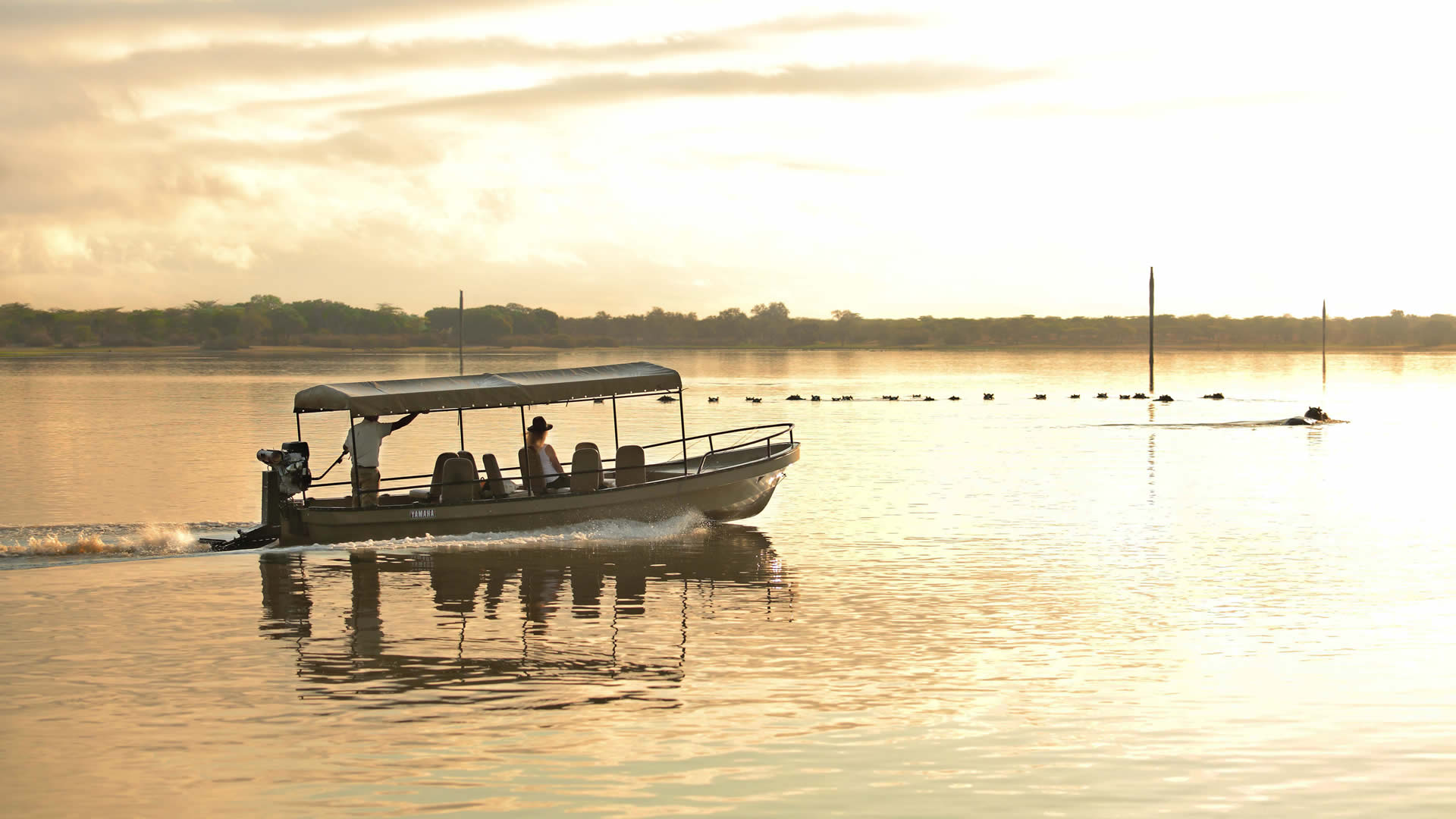 selous game reserve