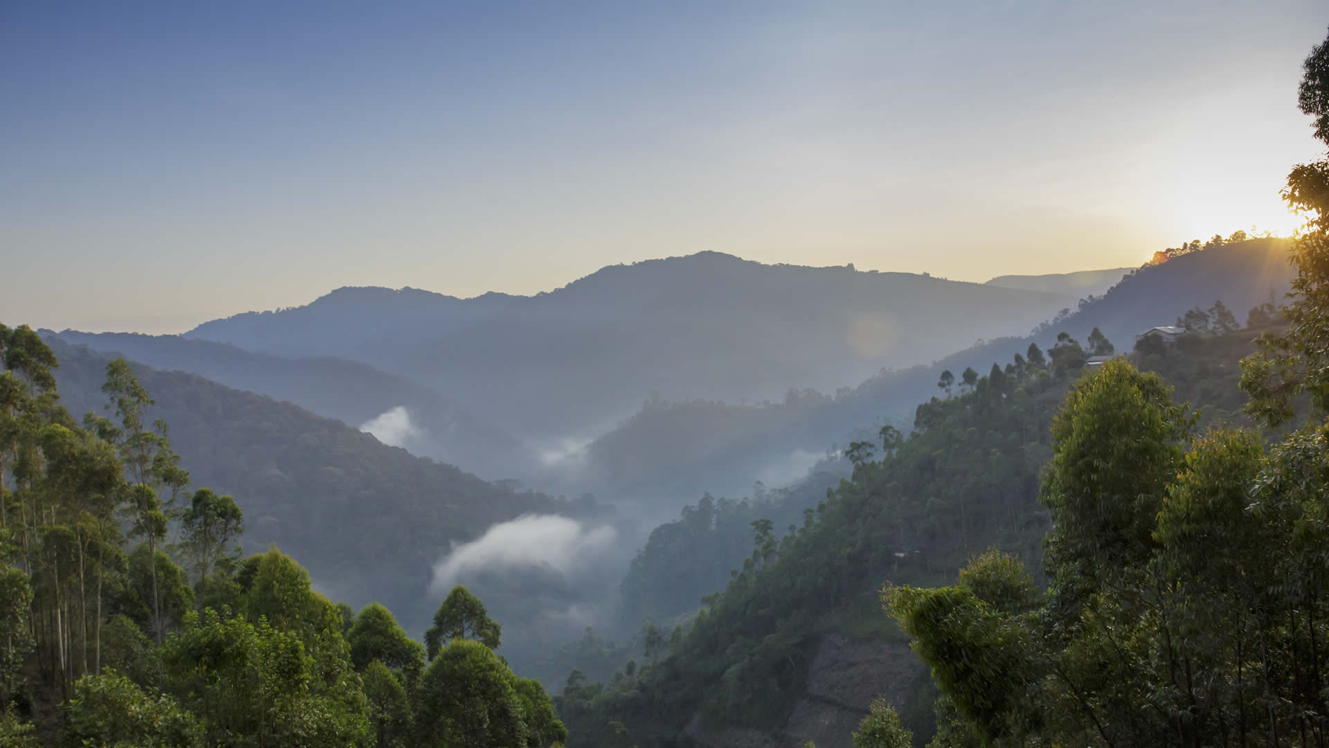 bwindi impenetrable national park