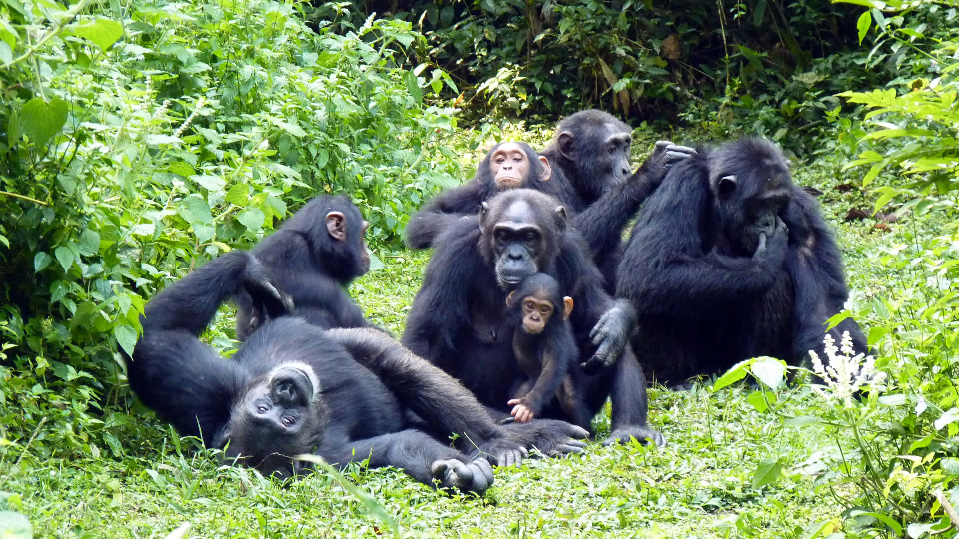 kibale national park