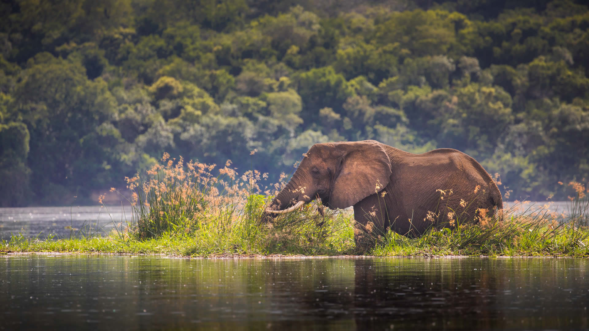 murchison falls national park