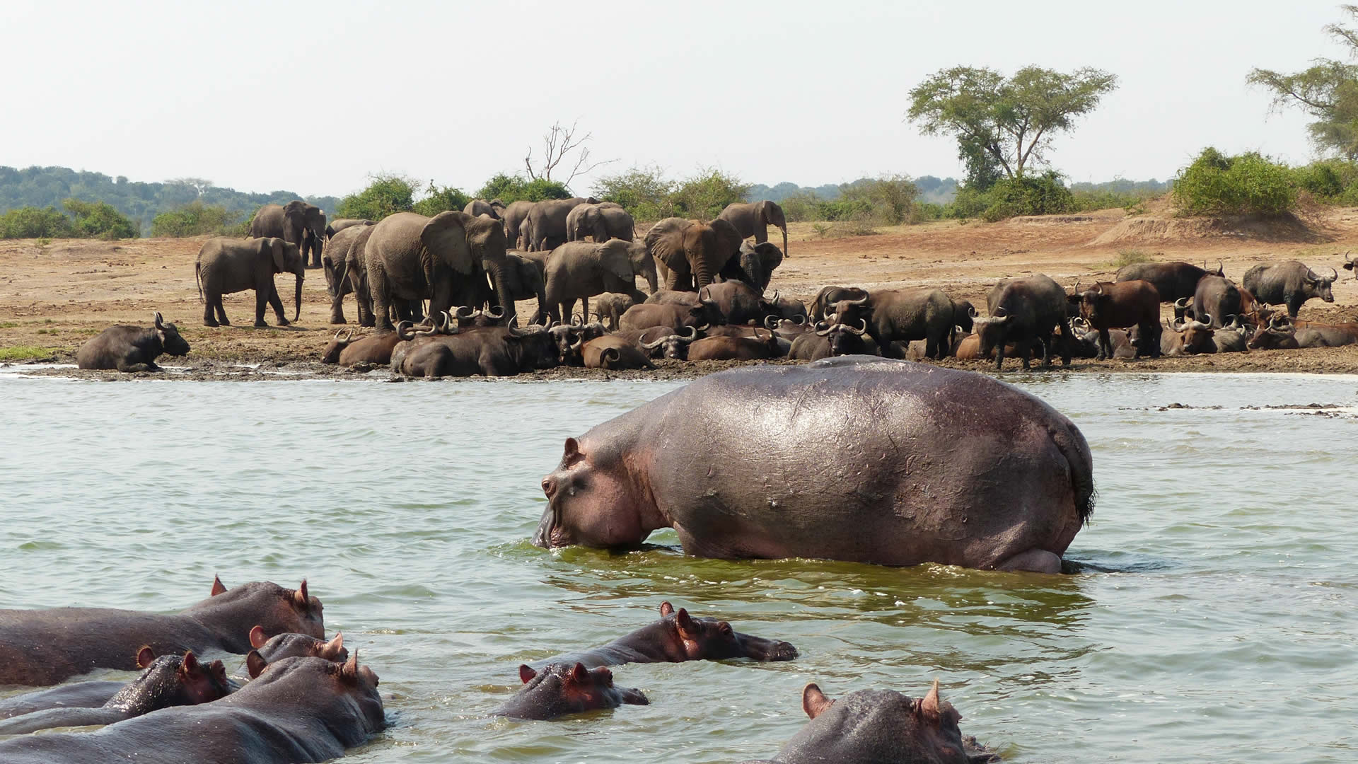 queen elizabeth national park