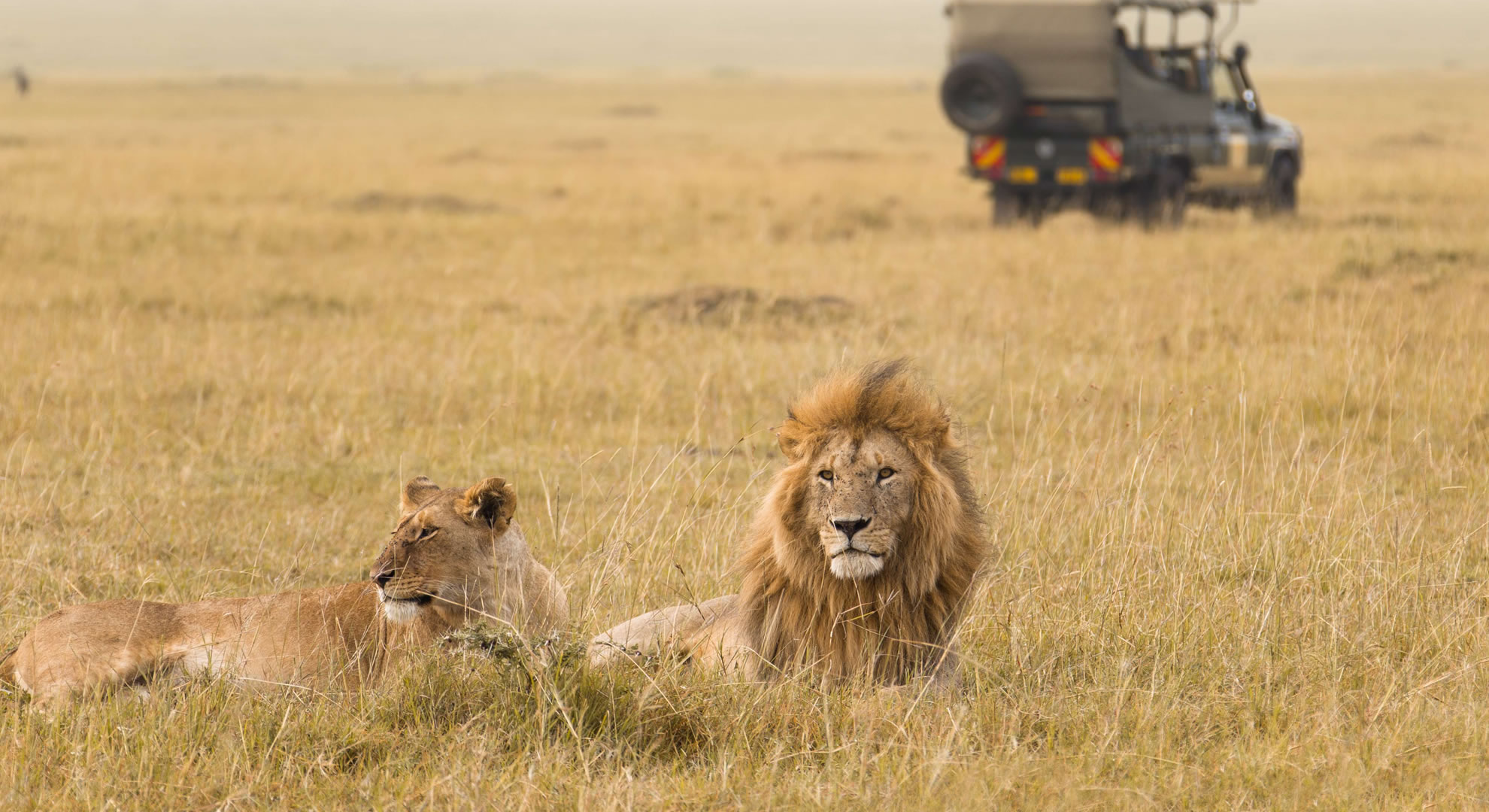 4 days magical maasai mara